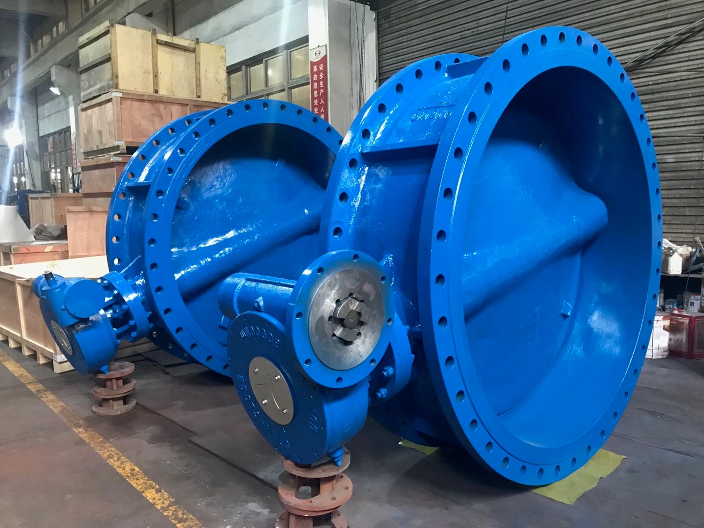 Double offset butterfly valve